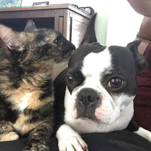 Meet your Posher, Shelley - Picture 1 of 1